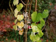 -黄公望隐居地