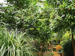 -呀路古热带植物园