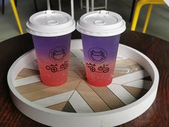 -喵屿·大理花园猫咖