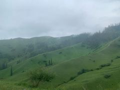 -新疆那拉提国家旅游度假区