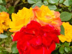 -呼吸森林·生态农庄农家乐私房菜