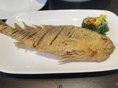 -老牌坊鲁菜名店(聊城美食岛店)