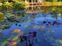 -国家植物园南园