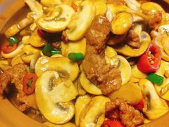 蘑菇炒肉片-徽三说·土徽菜·中国徽菜连锁品牌(一中店)