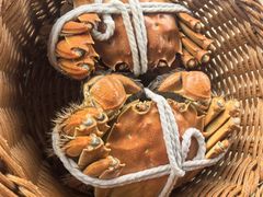 -蟹村草堂·苏式园林人文农家·大闸蟹