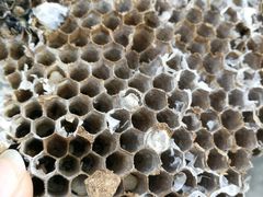 -鲤鱼塘农家山庄