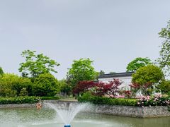-嬉乐湾休闲旅游区