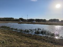 -哈拉新村