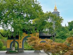 -红梅公园