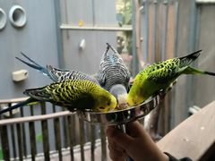 -正佳雨林生态植物园