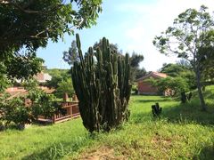 iphone_upload_pic-鹅銮鼻公园