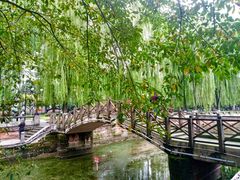 -温江公园