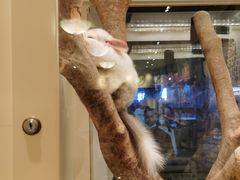 -龙猫仔乐园(惠福东路店)