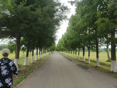 -嘉北郊野公园