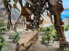 -延庆地质公园博物馆