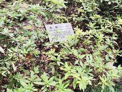 -瀛洲公园