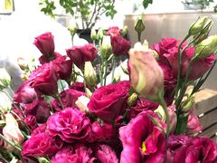 -植物学家的女儿(北马道巷店)