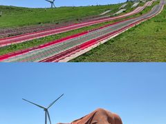 -龙里油画大草原旅游区