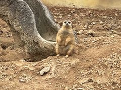 -杭州野生动物世界