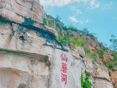 -仙蘑洞