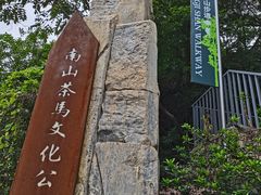 -南山植物园