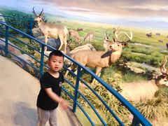 -陕西自然博物馆