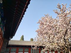 -恭王府博物馆