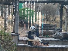 -大连森林动物园