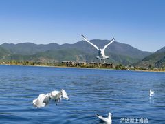 -丽江泸沽湖景区