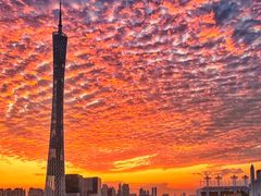 -珠江夜游广州塔·中大码头