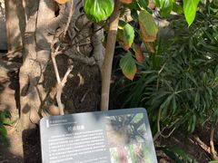 -北京植物园-展览温室