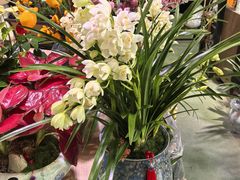 -金三角花鸟鱼综合市场-地面停车场