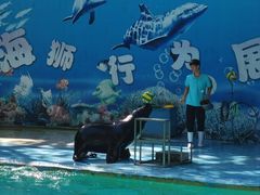 -杭州少年儿童公园