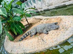 -石家庄市动物园