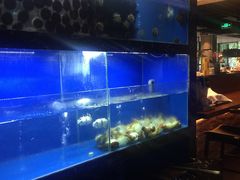 -古京·臻致料理(月湖店)