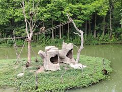 -上海野生动物园