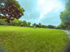 -同济大学(嘉定校区)