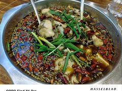 -乡土特色.冷锅鱼.牦牛肉汤锅