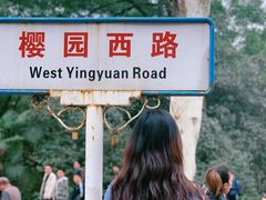 -武汉大学-樱园