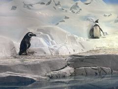 -上海海洋水族馆