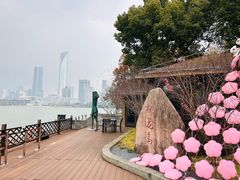 -金鸡湖桃花岛