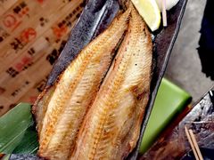 -鰓呼吸 石垣島 美崎町店