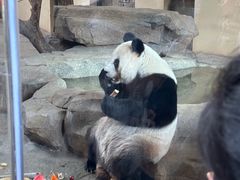 -宁波野生动物园