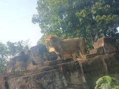 -海南热带野生动植物园