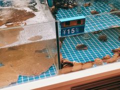 水产区-佳兰雅序融合菜(高新店)