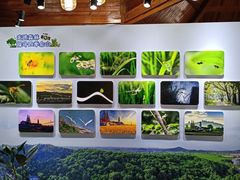 -上海佘山国家森林公园西佘山园