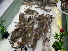 -韩匠烤肉·海鲜·牛排·自助餐(蓝光香槟广场店)