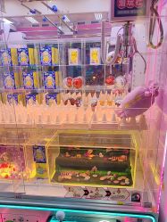 -莫莉幻想儿童乐园(北京顺义华联店)