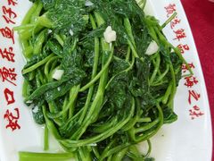 -蛇口康乐快餐鱼仔档(翠苑小区店)