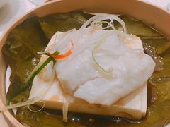 -青岛富力艾美酒店